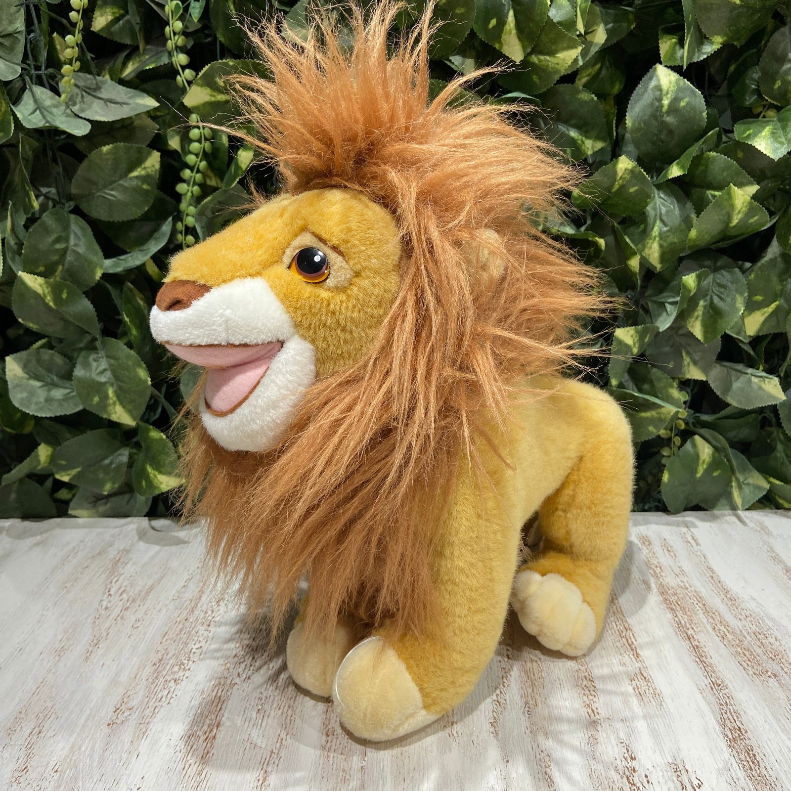 f215c2e28a12ef009334758be2a224